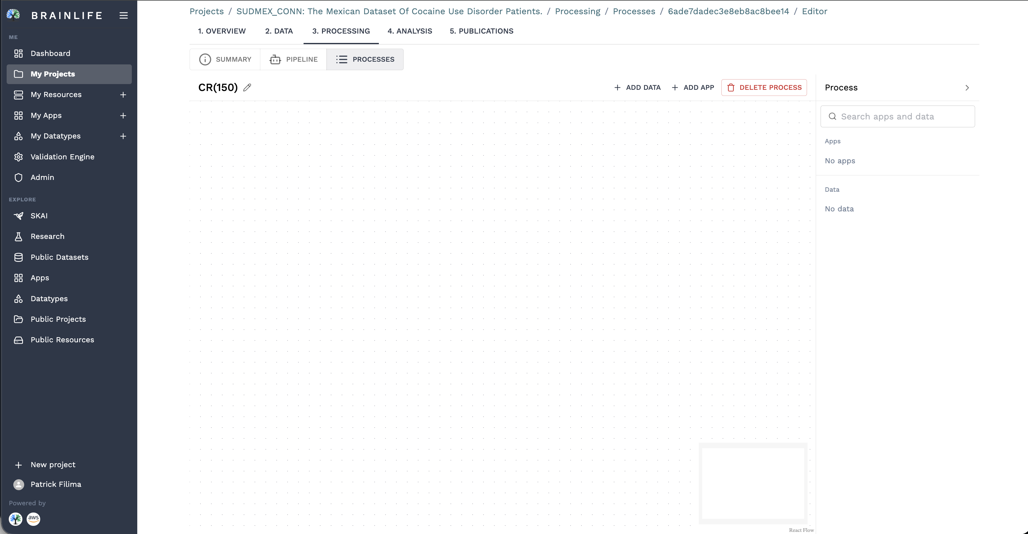Process DAG Editor Canvas