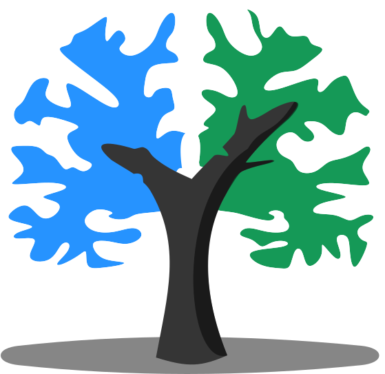 png_brainlife
